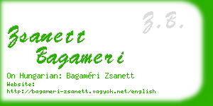 zsanett bagameri business card